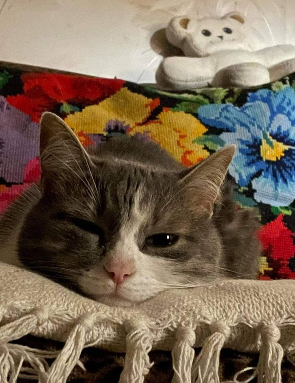 Новини Тернополя - фото з Світлана Галущак залюблена в українську вишивку: «яскрава і життєствердна»