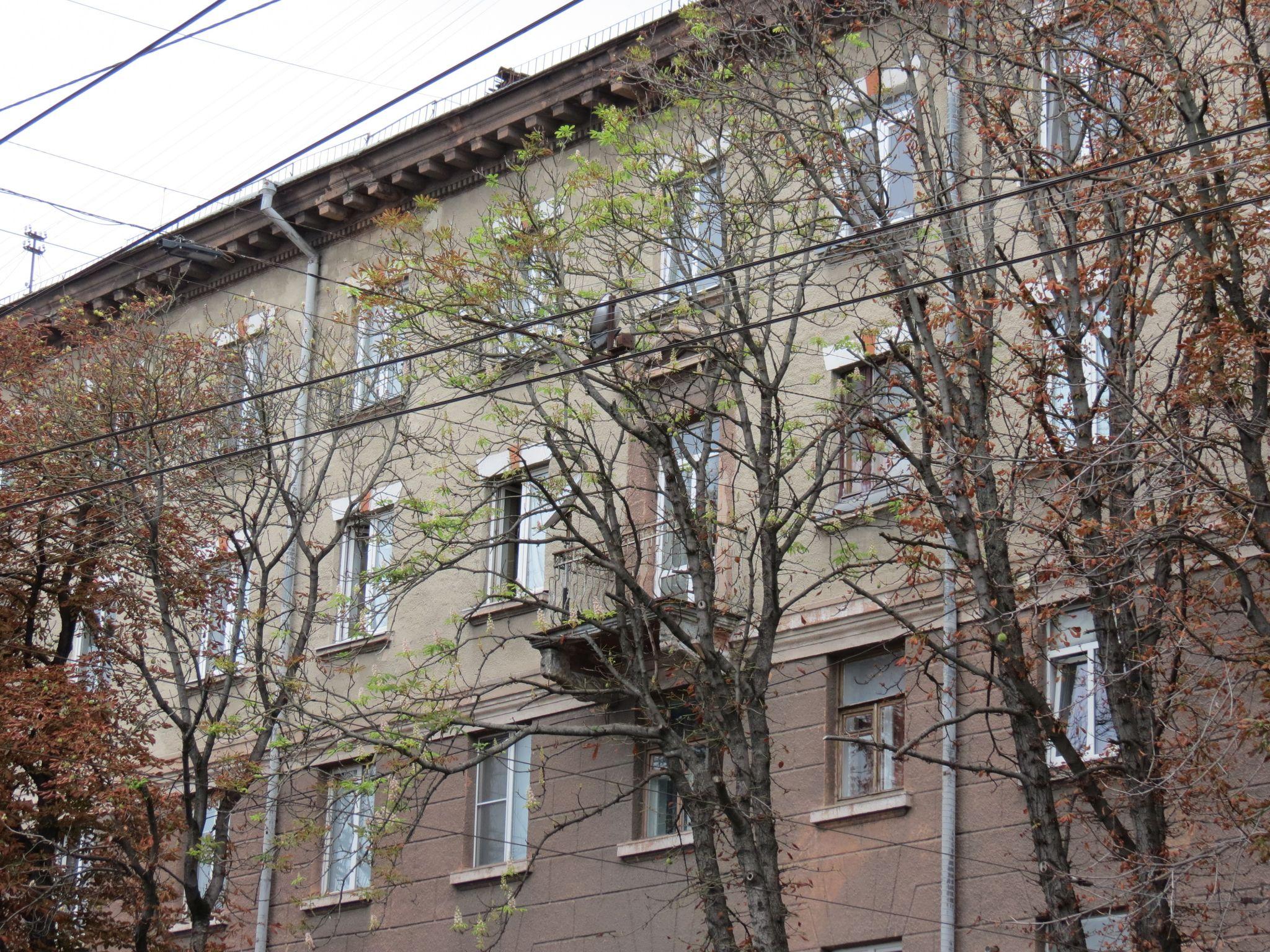 Новини Тернополя - фото з У Тернополі повторно зацвіли каштани: дивіться, який вигляд мають