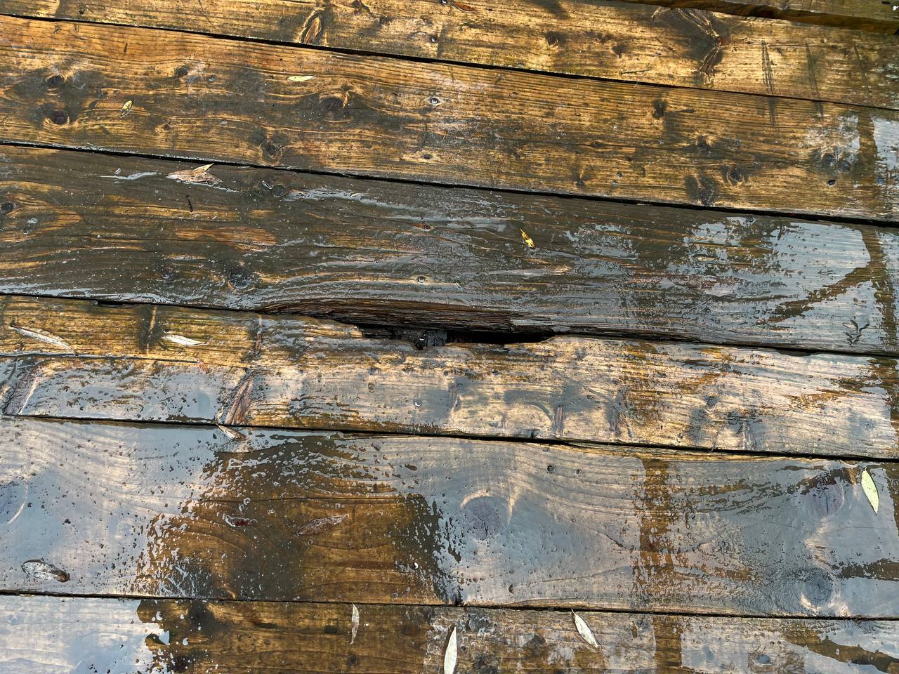 Новини Тернополя - фото з У парку «Сопільче» руйнується пішохідний міст