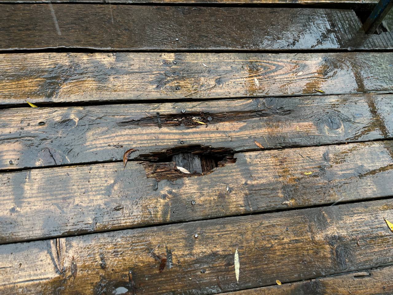 Новини Тернополя - фото з У парку «Сопільче» руйнується пішохідний міст