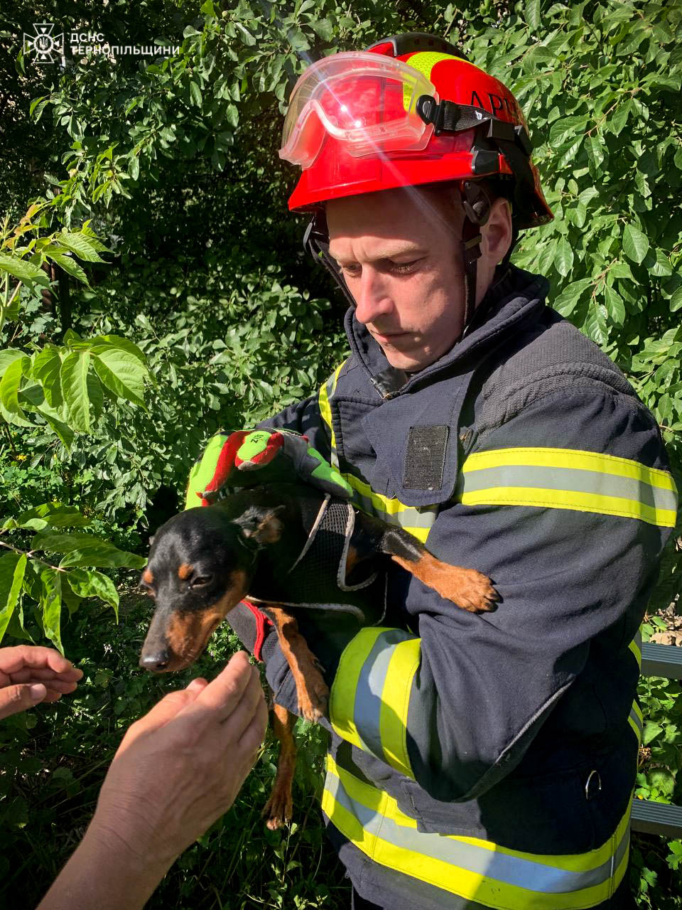 Новини Тернополя - фото з Ті, хто перемагають вогонь: показуємо обличчя тернопільських рятувальників у їх професійне свято На зображенні може бути: 1 особа