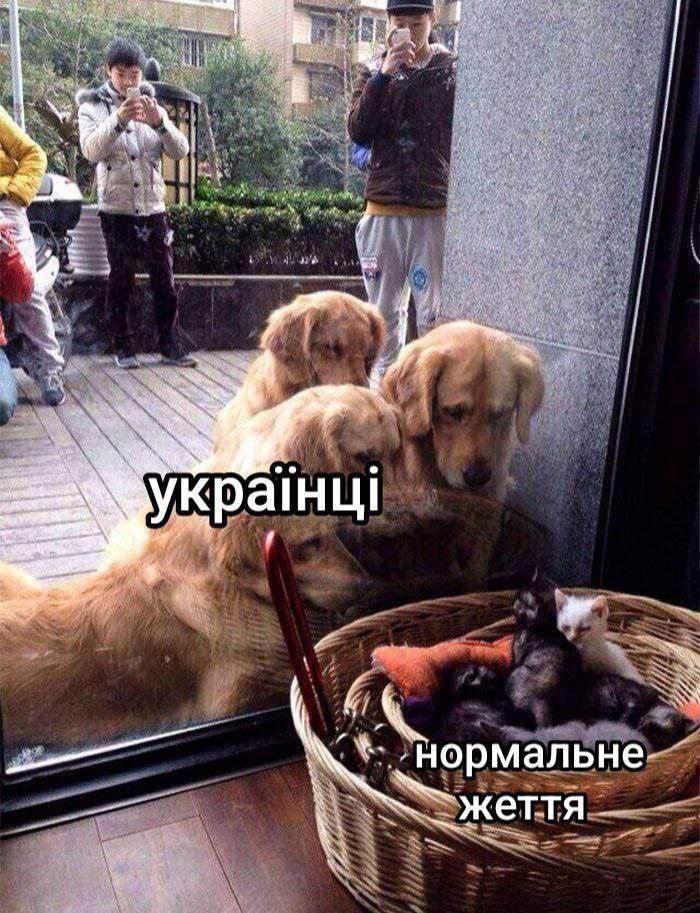 Новини Вінниці - фото з Робимо огляд у мемах новин України та світу за минулий тиждень