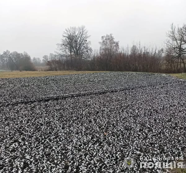 Новини Житомира - фото з Шукали всю ніч: на Звягельщині поліцейські та небайдужі громадяни врятували хлопця з інвалідністю