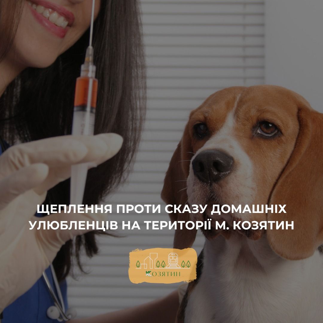 Новини Козятина - фото з У Козятині безкоштовною вакциною щеплюватимуть домашніх тварин від сказу. Адреси наметів