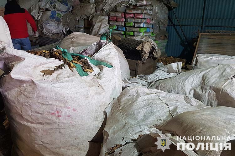 Новини Тернополя - фото з Тютюнові магнати: за нелегальний бізнес на сотні тисяч судитимуть трьох чоловіків з Чортківщини члени злочинної групи, які підпільно заготовляли тютюн, постануть перед судом: слідчі тернопільської поліції завершили досудове розслідування