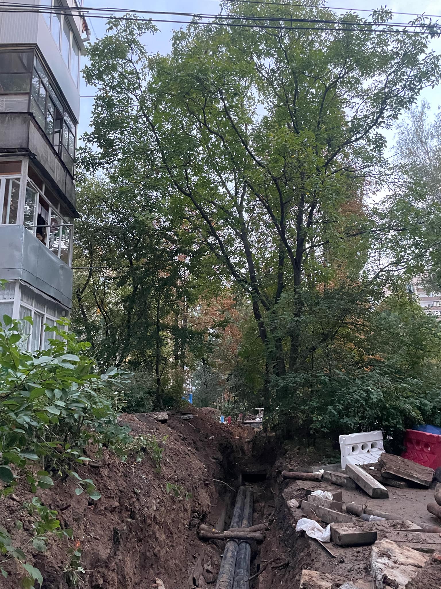 Новини Вінниці - фото з «Негативні наслідки таких дій помітні не одразу»: чому у Вінниці падають дерева?