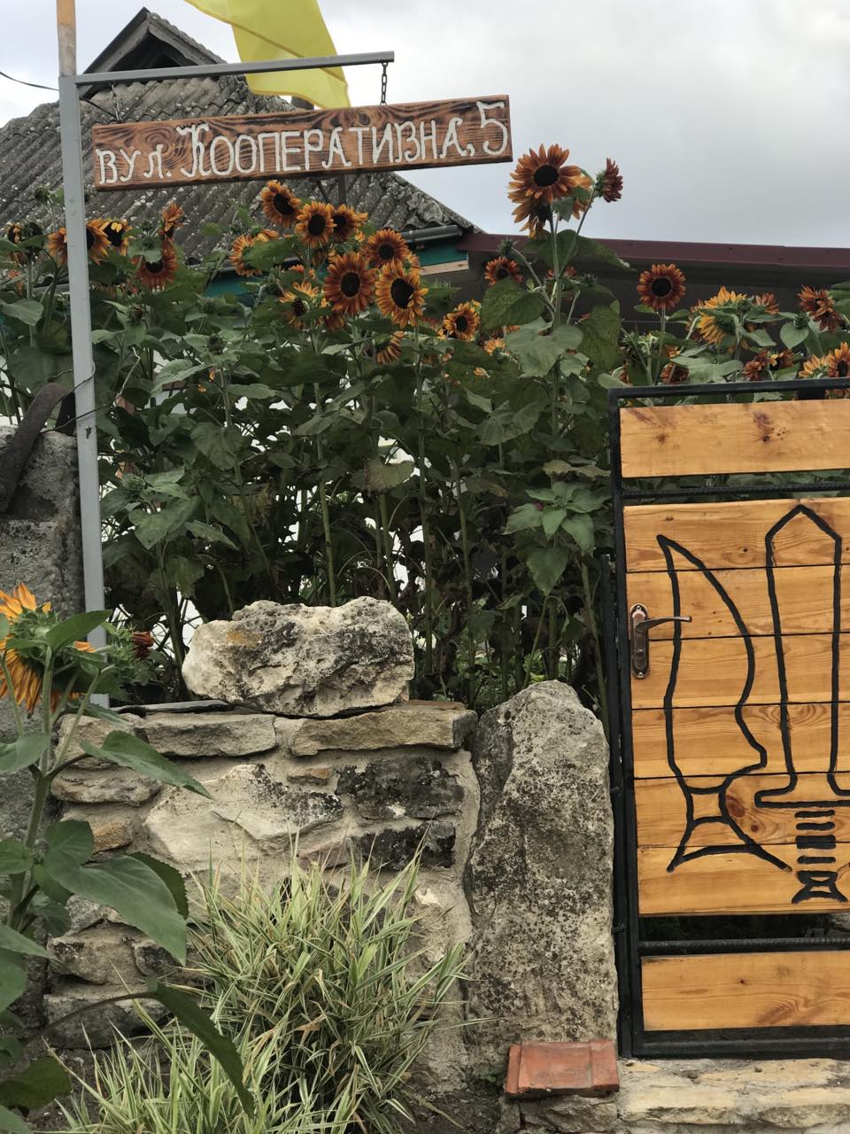 Новини Вінниці - фото з «Їх зустріне Ілля»: мати полеглого воїна запрошує на відпочинок у Бушу. Кого чекає?