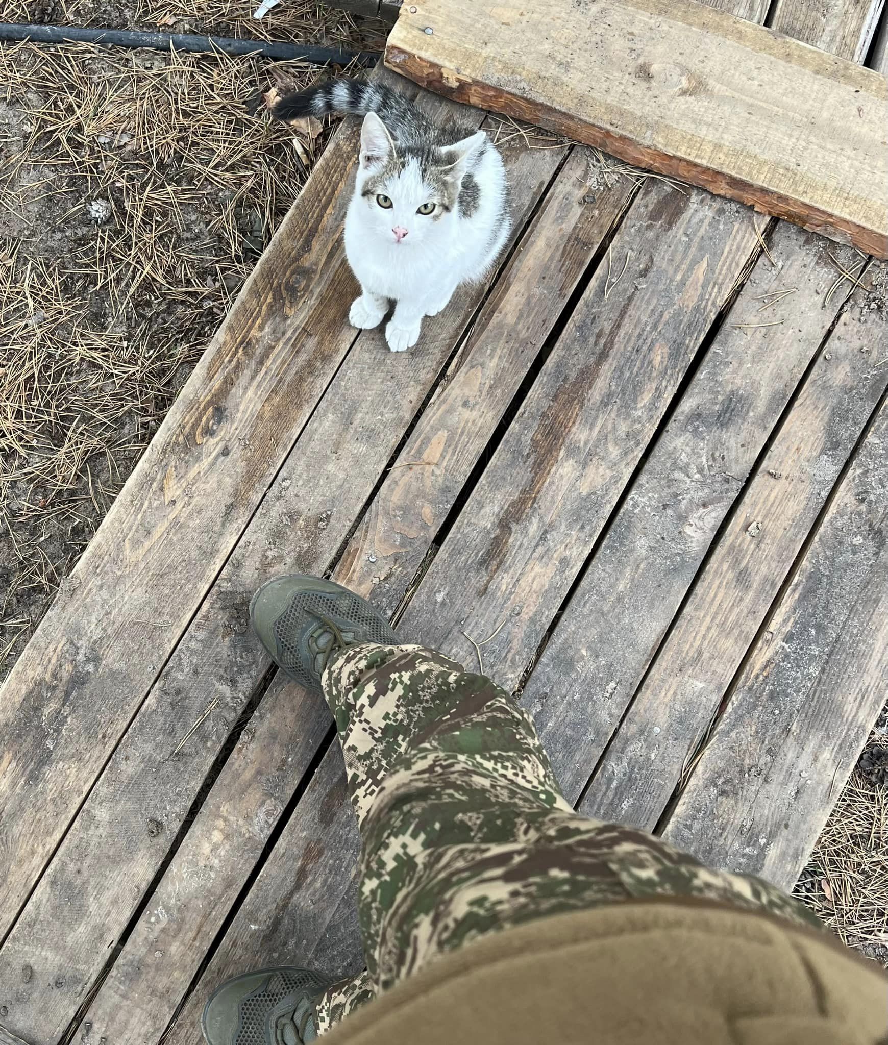 Новини Хмельницького - фото з Депутатка Хмельницької обласної ради повідомила, що йде воювати