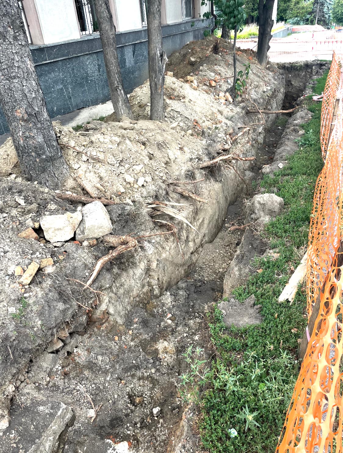 Новини Вінниці - фото з «Негативні наслідки таких дій помітні не одразу»: чому у Вінниці падають дерева?