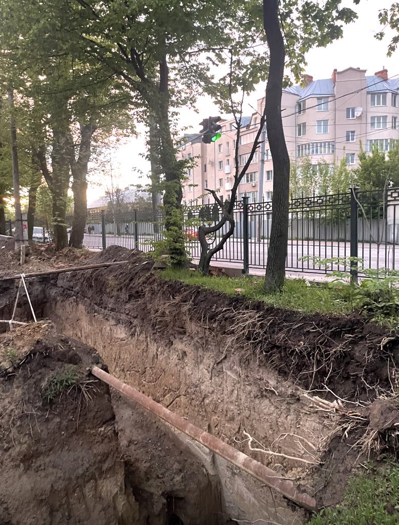 Новини Вінниці - фото з «Негативні наслідки таких дій помітні не одразу»: чому у Вінниці падають дерева?