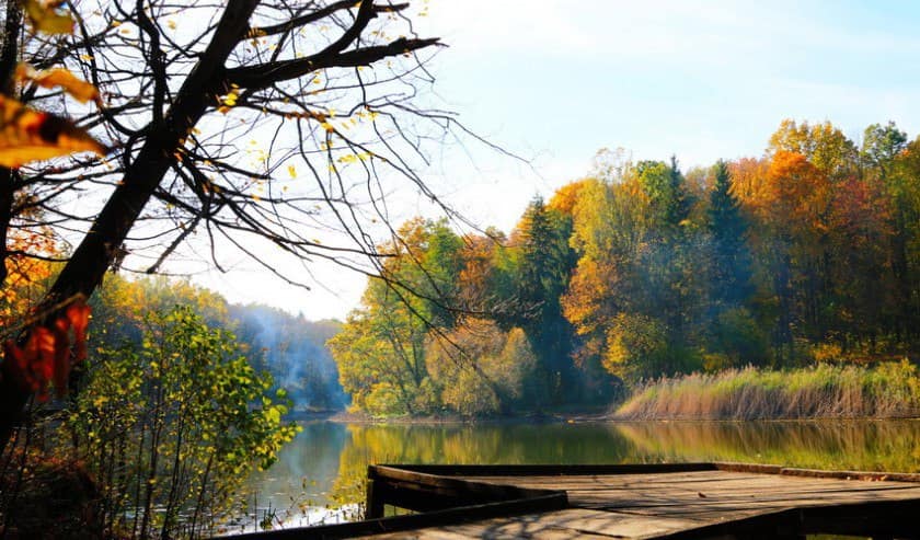 Новини Вінниці - фото з Осінній відпочинок в межах міста: де можна організувати пікнік у Вінниці