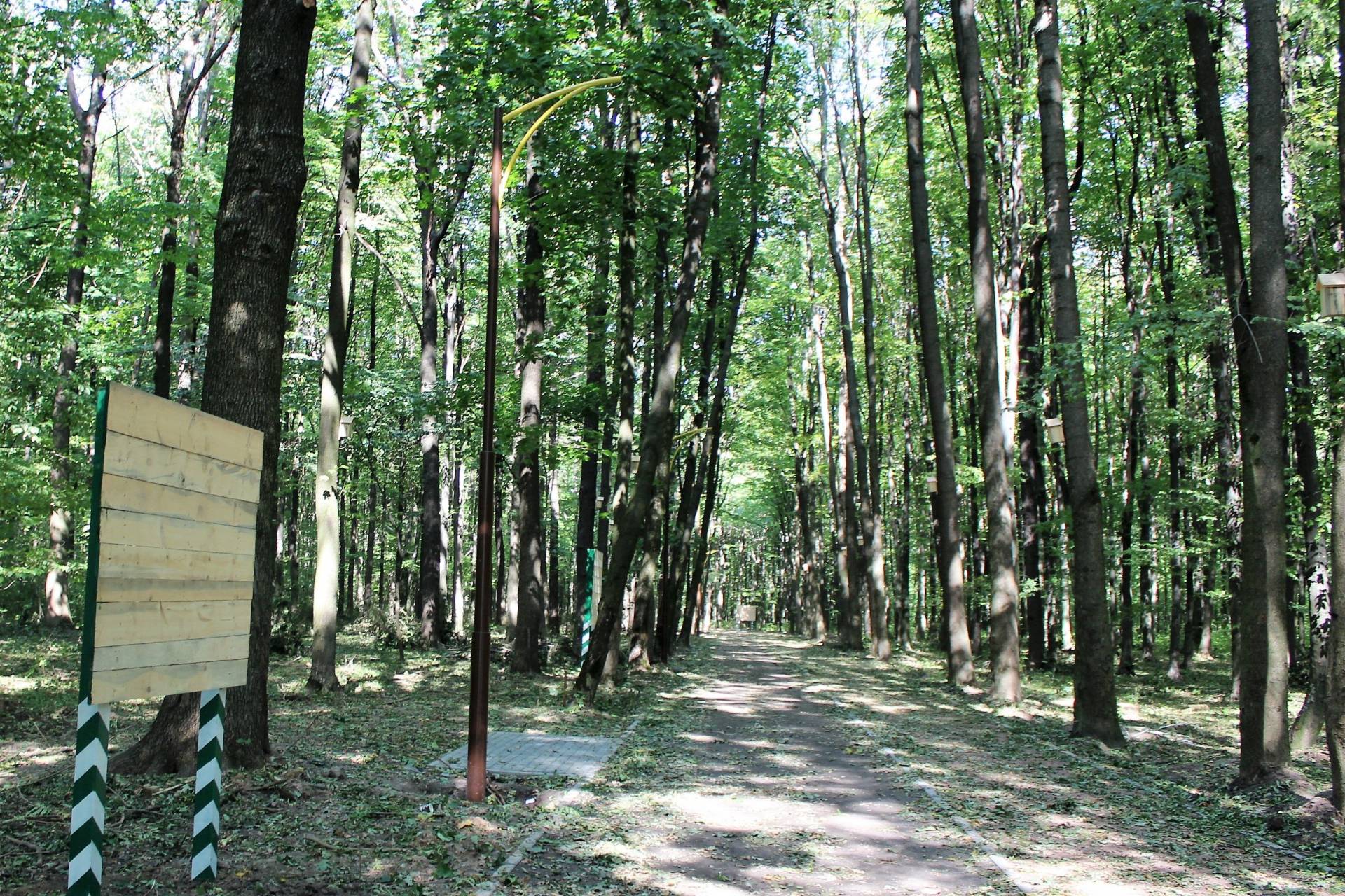 Новини Вінниці - фото з Осінній відпочинок в межах міста: де можна організувати пікнік у Вінниці