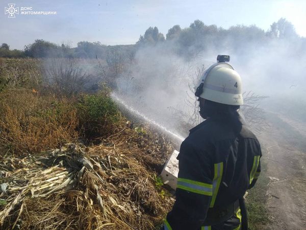 Новини Житомира - фото з На Житомирщині вигоріло понад 15 га сухої трави