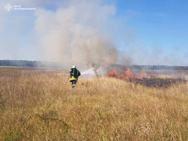 Новини Житомира - фото з На Житомирщині вигоріло понад 15 га сухої трави