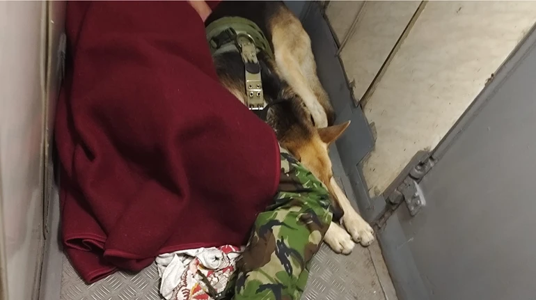 Новини Вінниці - фото з «Він їде з передової»: чому захисник з вівчаркою спав у тамбурі потягу