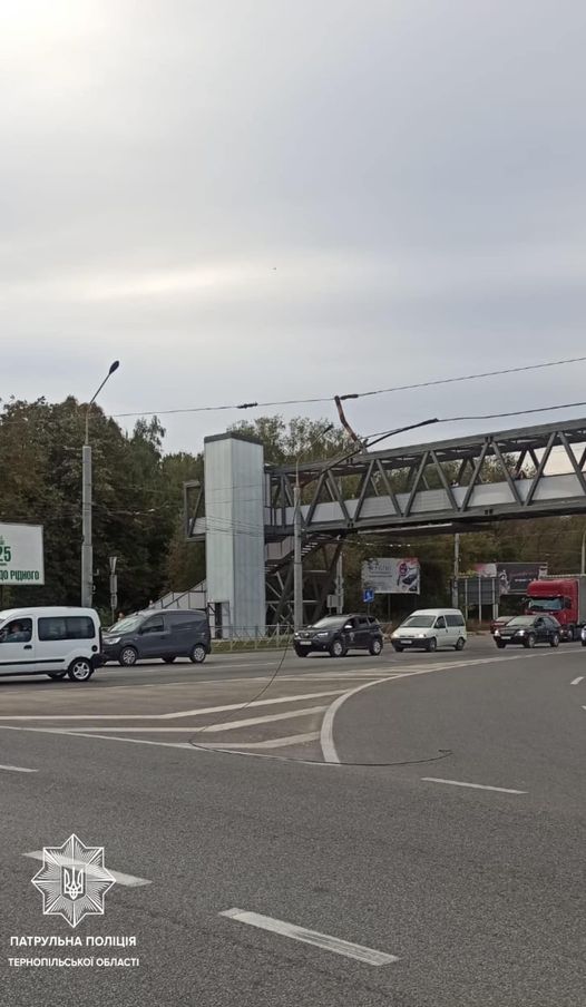 Новини Тернополя - фото з На «Збаразькому кільці» обірвалася лінія електропередач На зображенні може бути: падальник та текст