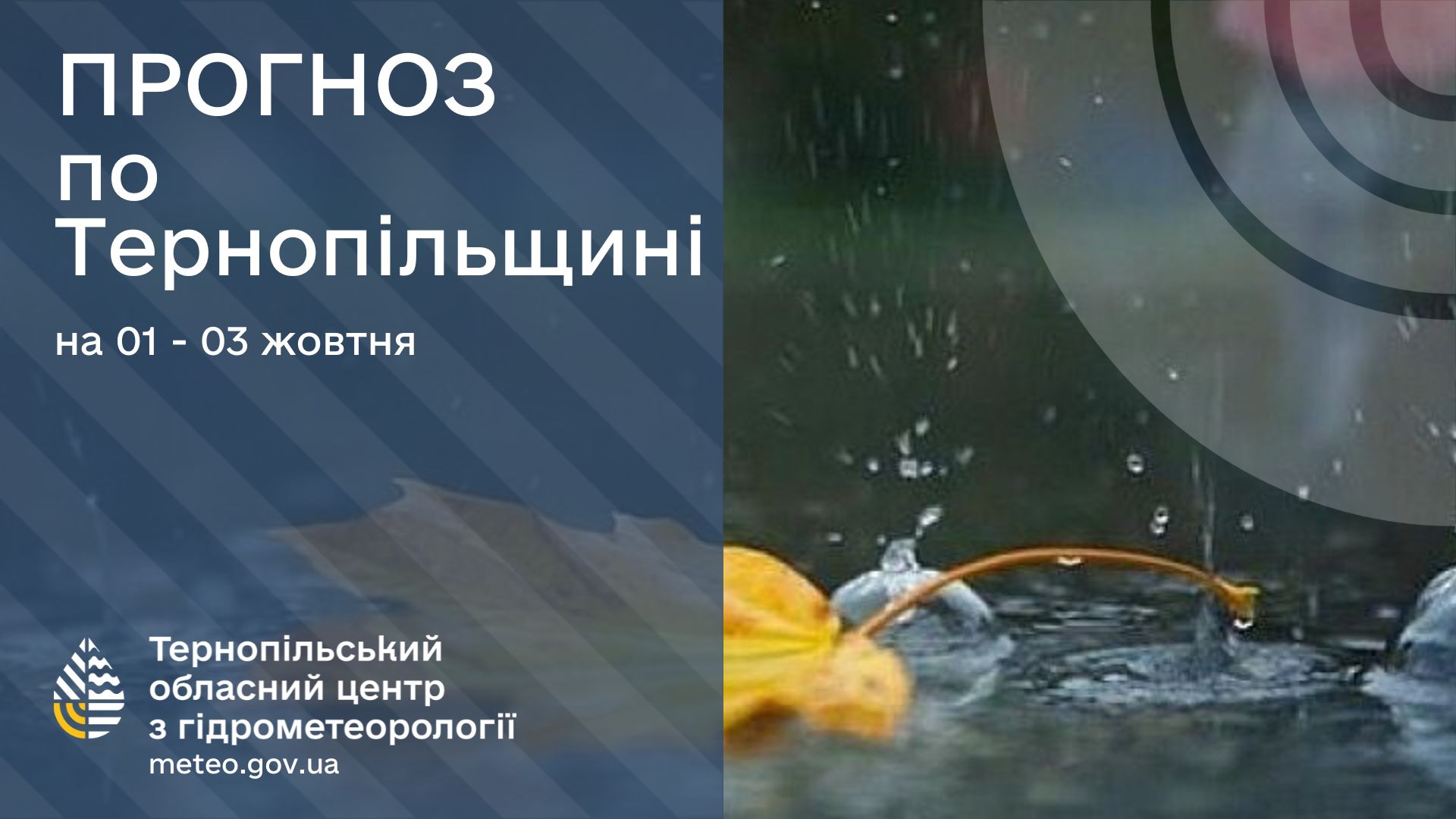 Новини Тернополя - фото з Дощі, холод та підвищення рівня води у річках: якою буде погода на Тернопільщині в перші дні жовтня На зображенні може бути: текст