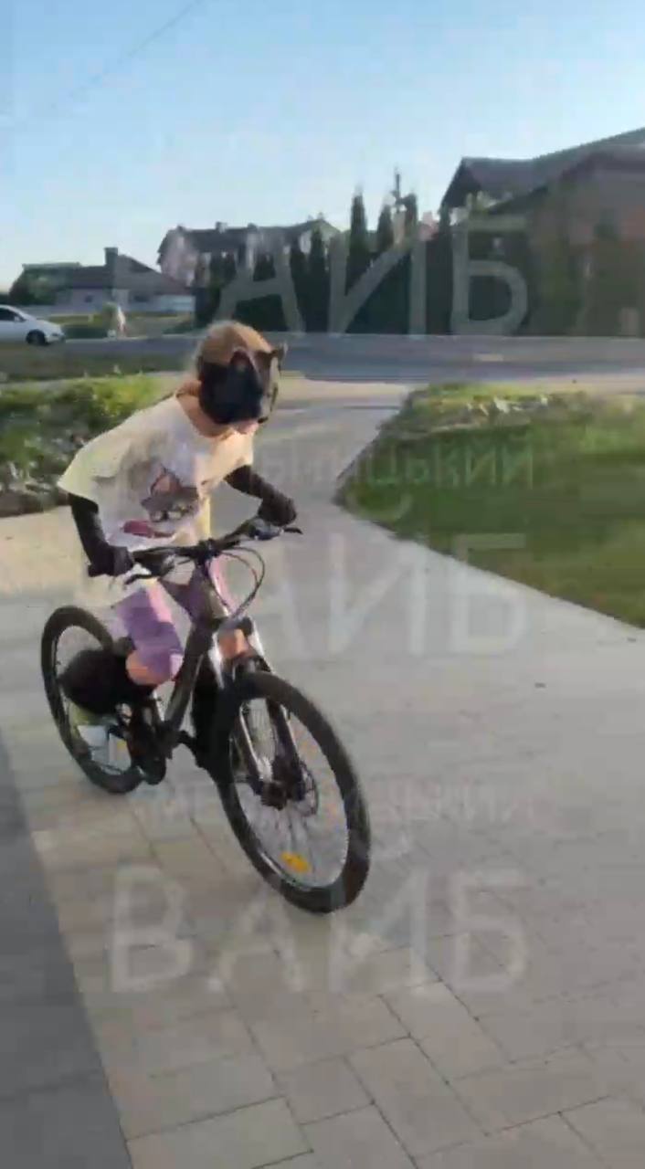 Новини Хмельницького - фото з Квадробери на Хмельниччині: що про дітей в костюмах тварин кажуть психологи