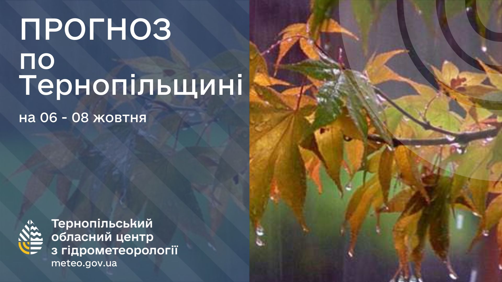 На зображенні може бути: текст