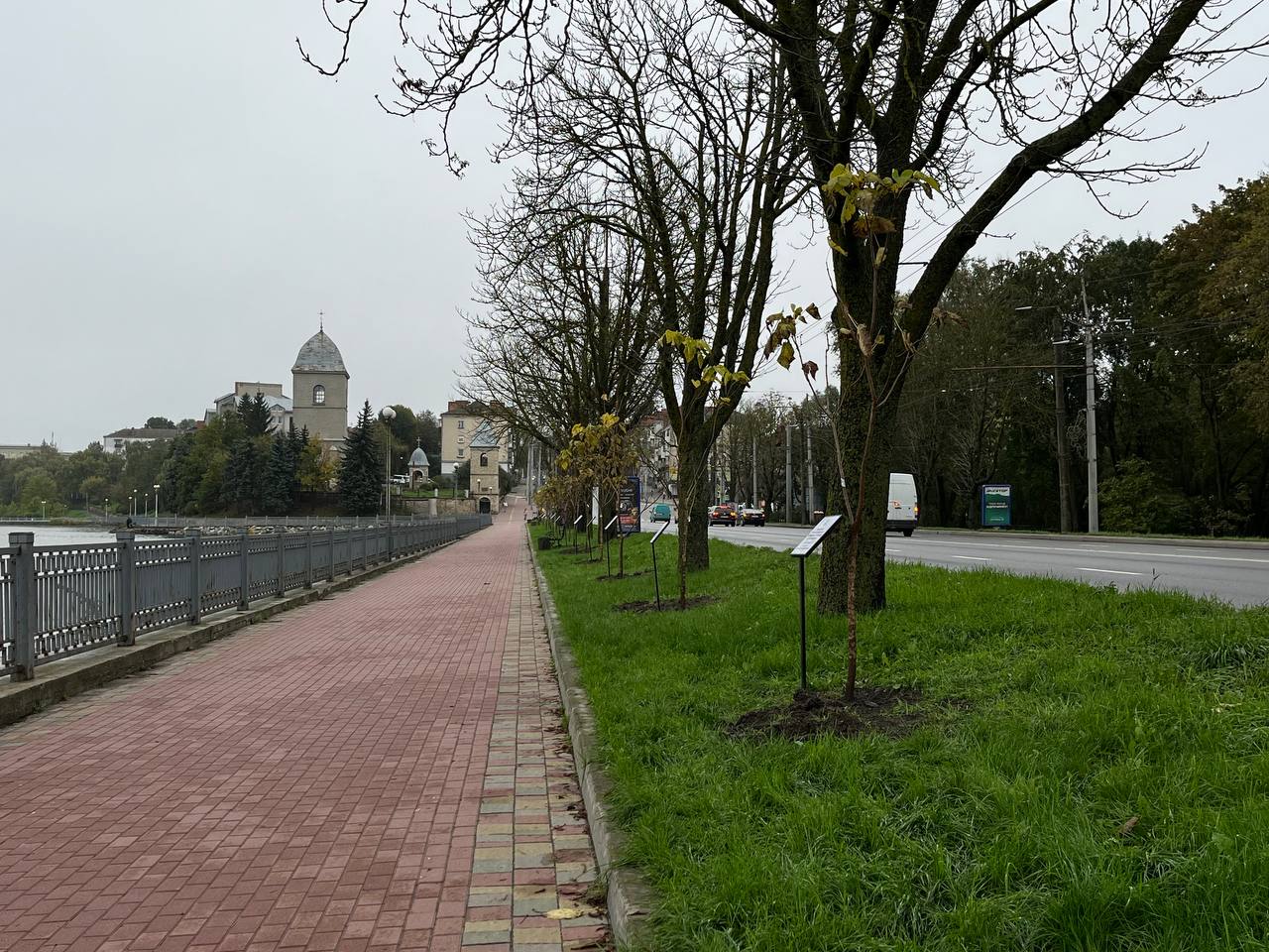 Новини Тернополя - фото з У Тернополі висадили іменні дерева за донат на ЗСУ