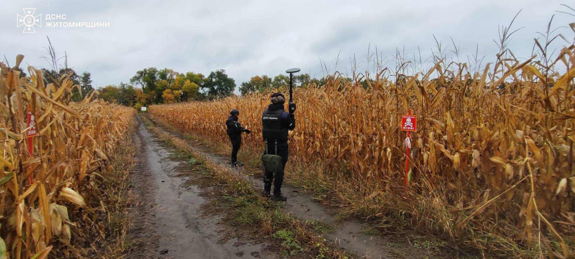 Новини Житомира - фото з Сапери ДСНС щодня обстежують землі Житомирщини на наявність вибухонебезпечних предметів