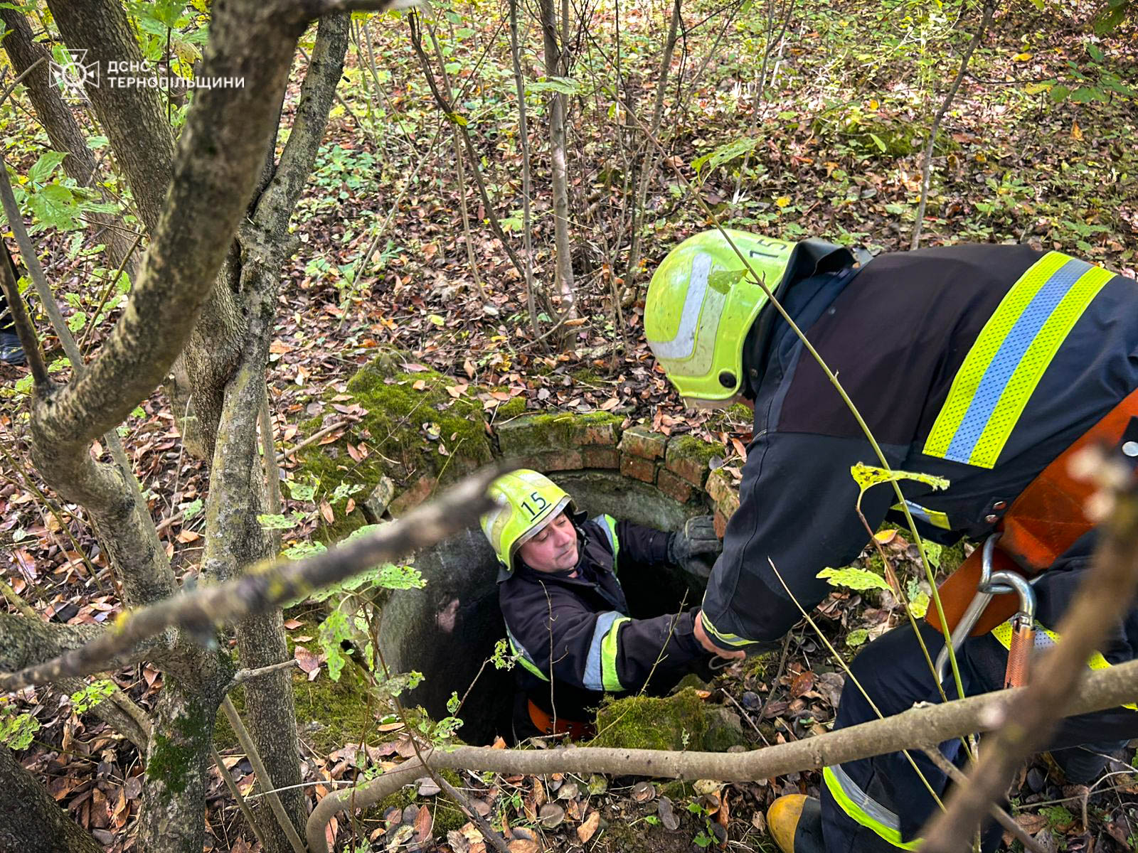 На зображенні може бути: 1 особа та дерево