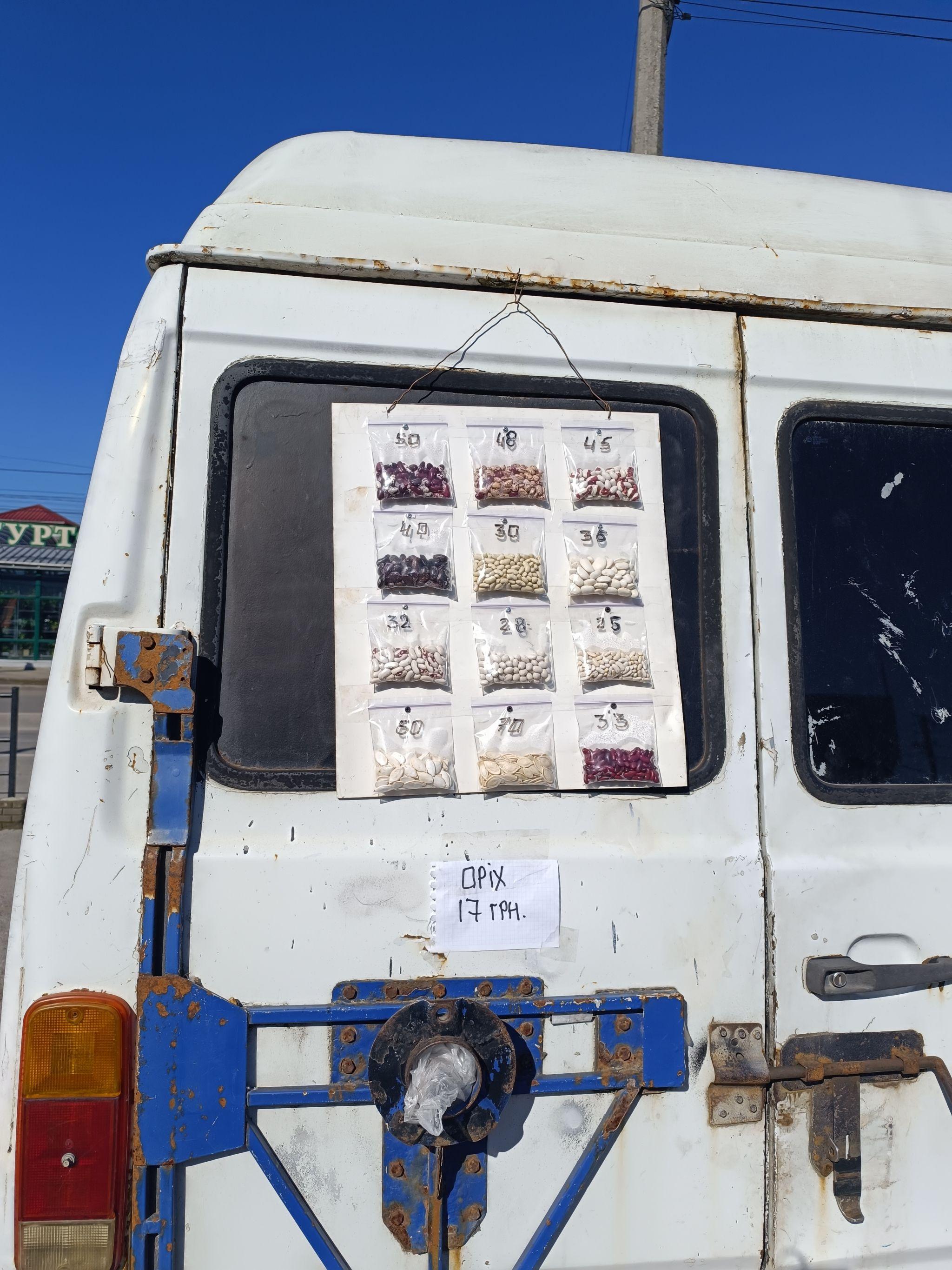 Новини Тернополя - фото з Тернополяни збирають та продають каштани: скільки можна заробити та де їх приймають