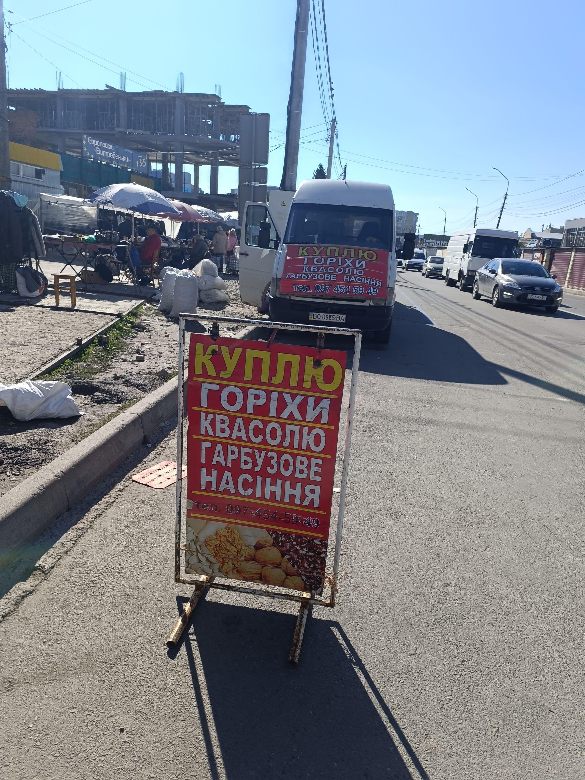 Новини Тернополя - фото з Тернополяни збирають та продають каштани: скільки можна заробити та де їх приймають