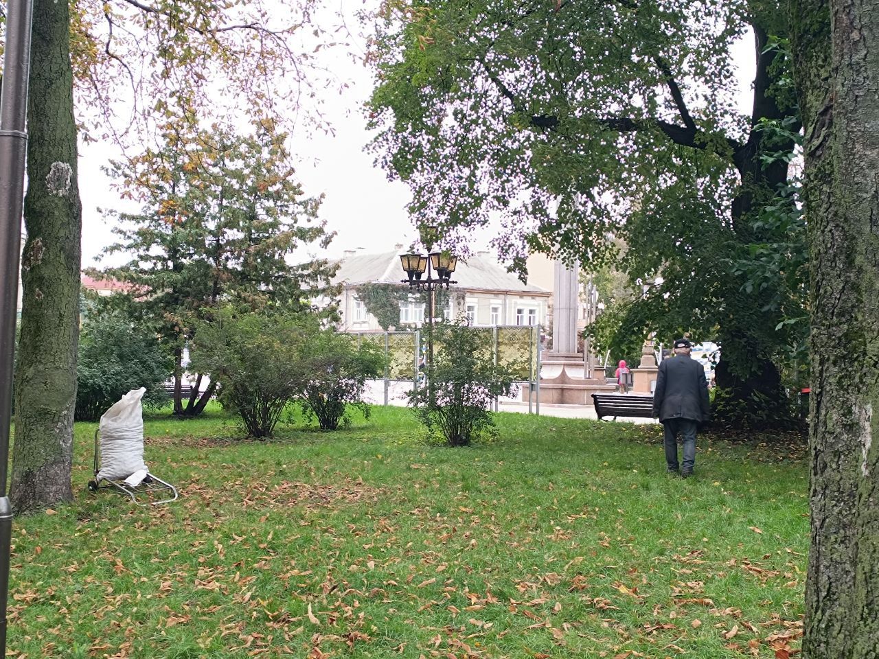 Новини Тернополя - фото з Тернополяни збирають та продають каштани: скільки можна заробити та де їх приймають