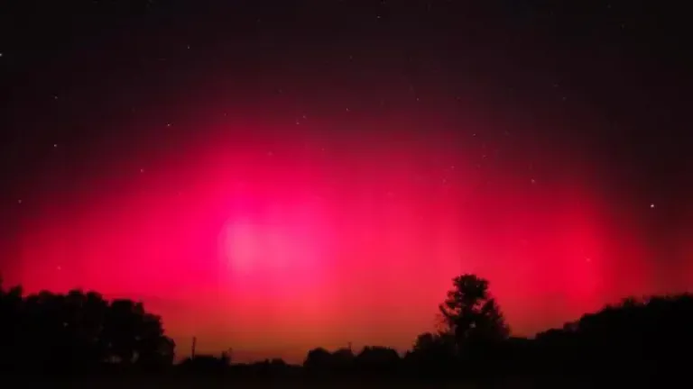 Новини Житомира - фото з Полярні сяйва в Україні - причини явища Північне сяйво в Україні