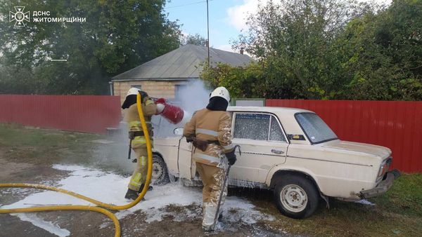 Новини Житомира - фото з Упродовж доби в області сталося 4 пожежі: у Корчаку горів сухостій, а в Брусилові - автомобіль