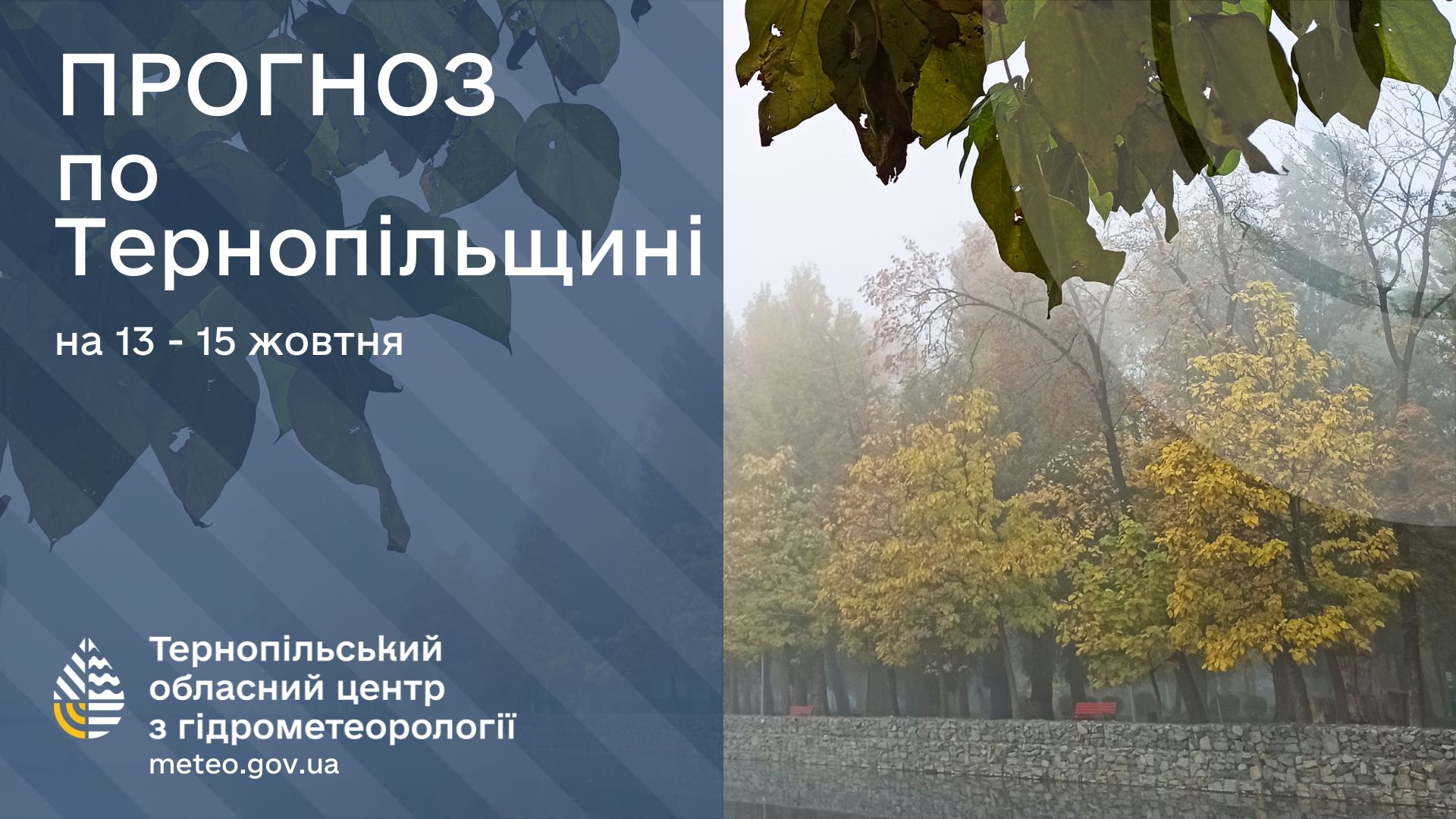 На зображенні може бути: текст