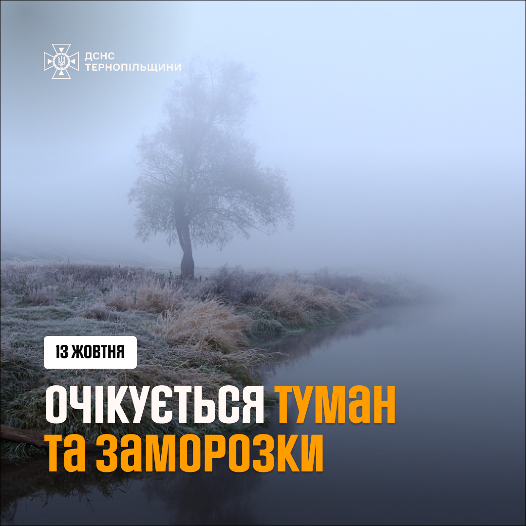 На зображенні може бути: текст