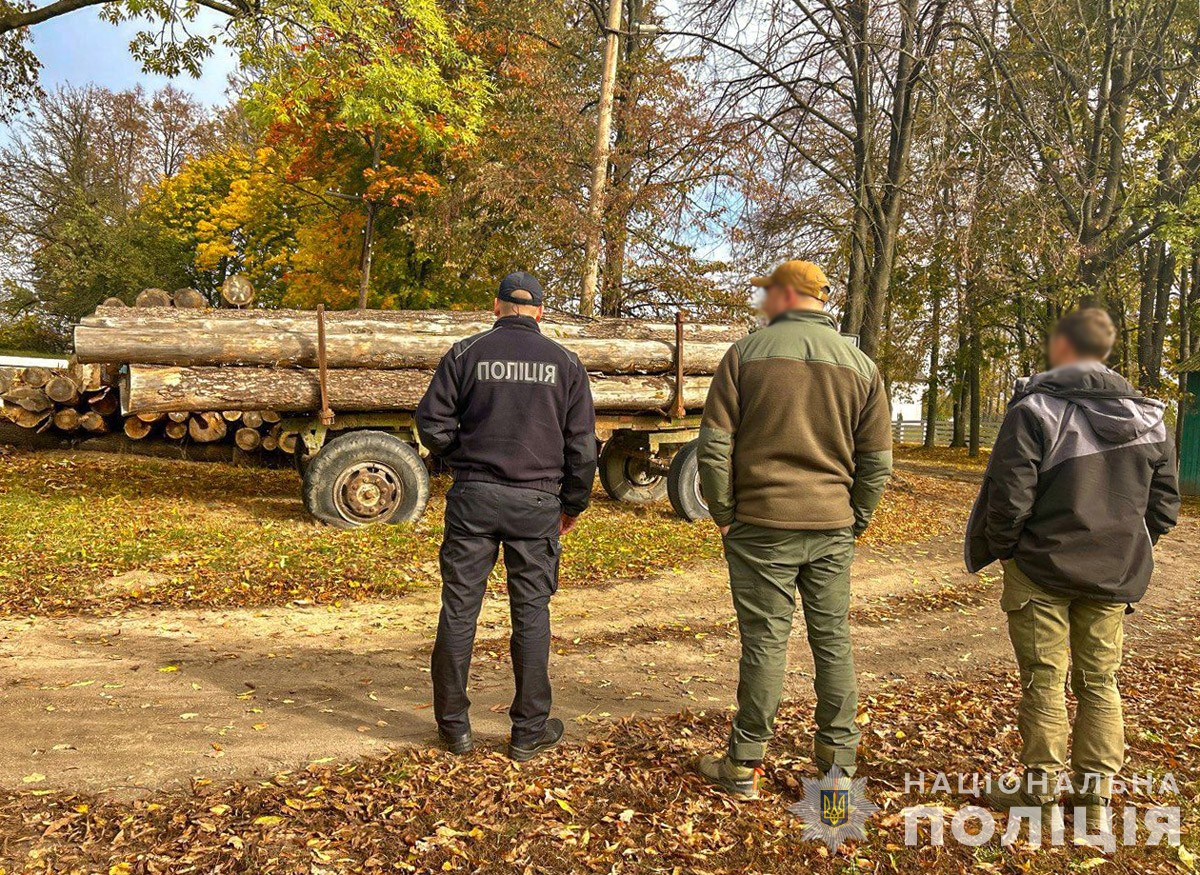 Новини Житомира - фото з На Звягельщині поліцейські передали заарештовану деревину на потреби ЗСУ на звягельщині поліцейські передали деревину на потреби зсу