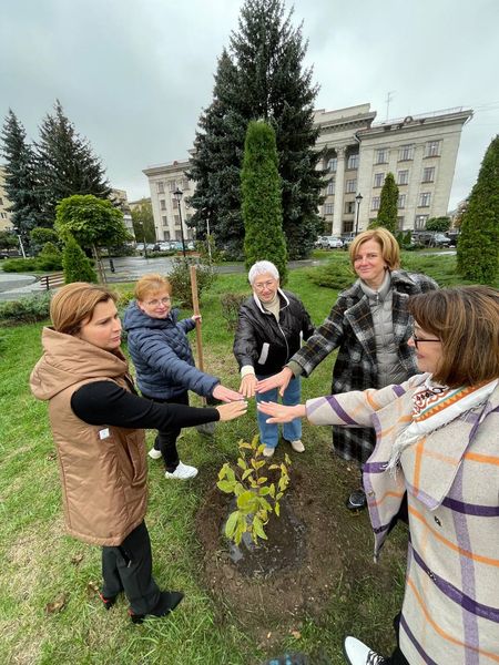 Новини Житомира - фото з У Житомирі висадили магнолії в межах акції «Укорінюємо жіночу історію»