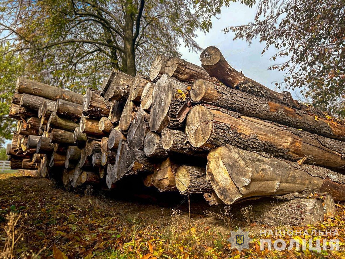 Новини Житомира - фото з На Звягельщині поліцейські передали заарештовану деревину на потреби ЗСУ на звягельщині поліцейські передали деревину на потреби зсу