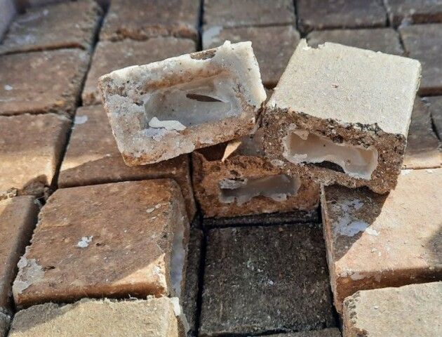 Новини Козятина - фото з На Козятинщині вакцинуватимуть диких м’ясоїдних тварин від сказу