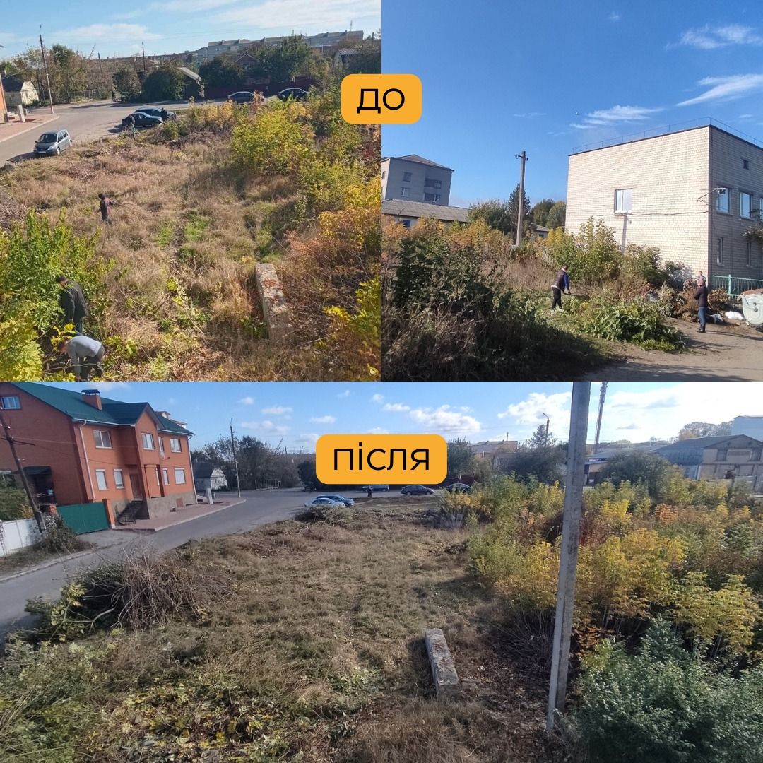 Новини Козятина - фото з У Козятинській громаді розпочинається осіння толока