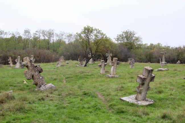 Новини Вінниці - фото з Старовинний цвинтар в Трибусівці, за яким доглядають кози