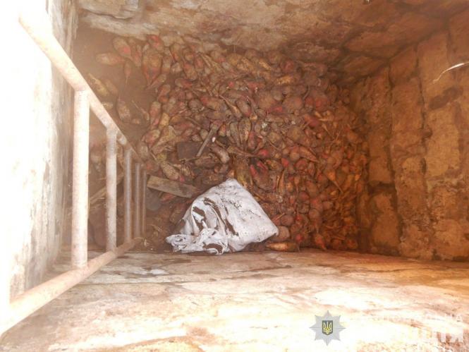 Новини Вінниці - фото з У селі М’якохід жінка загинула від отруєння газами у ямі з буряками