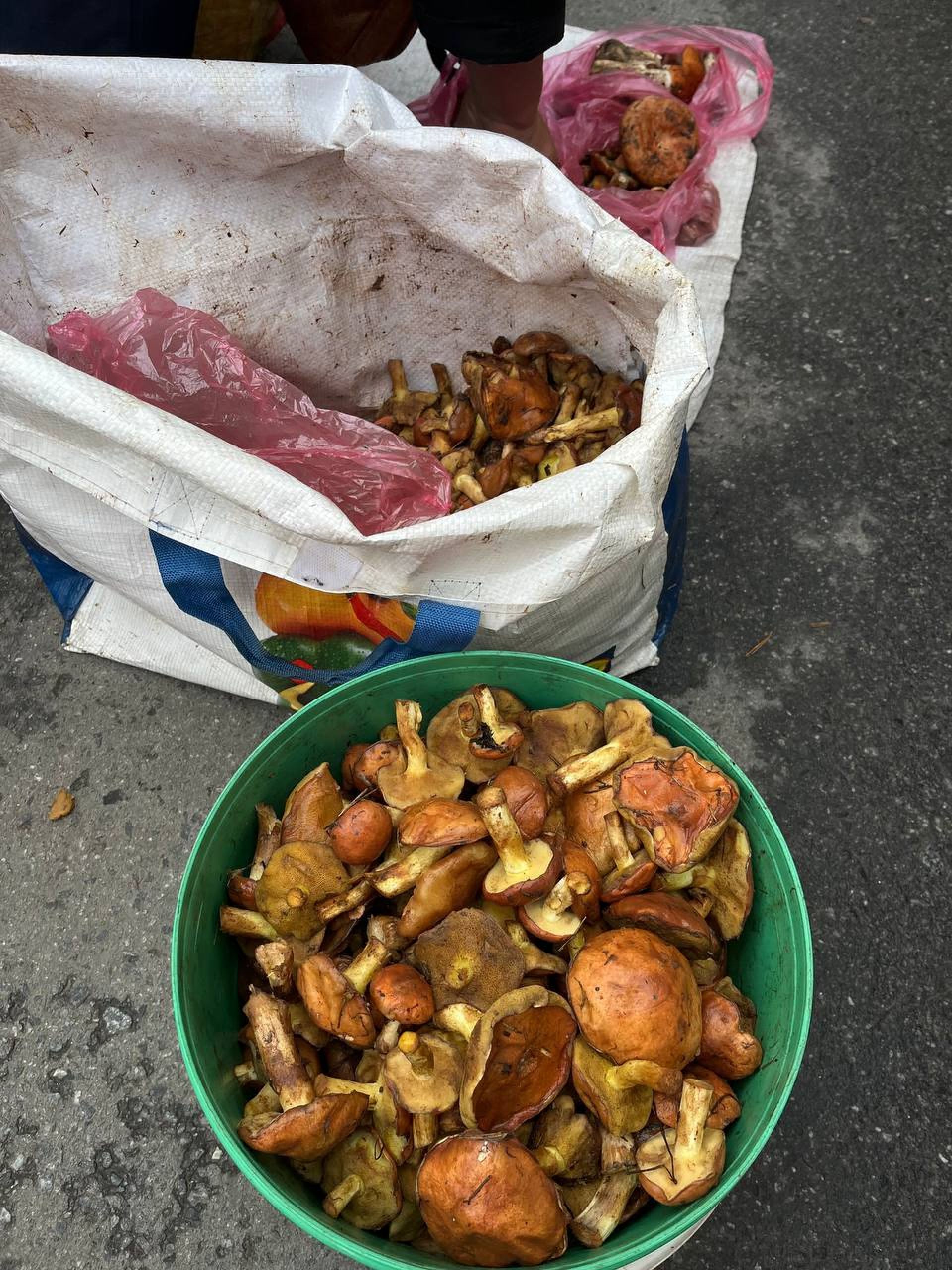 Новини Тернополя - фото з Медики борються за життя семи дітей: у якому стані родина з Копичинців, яка отруїлася грибами