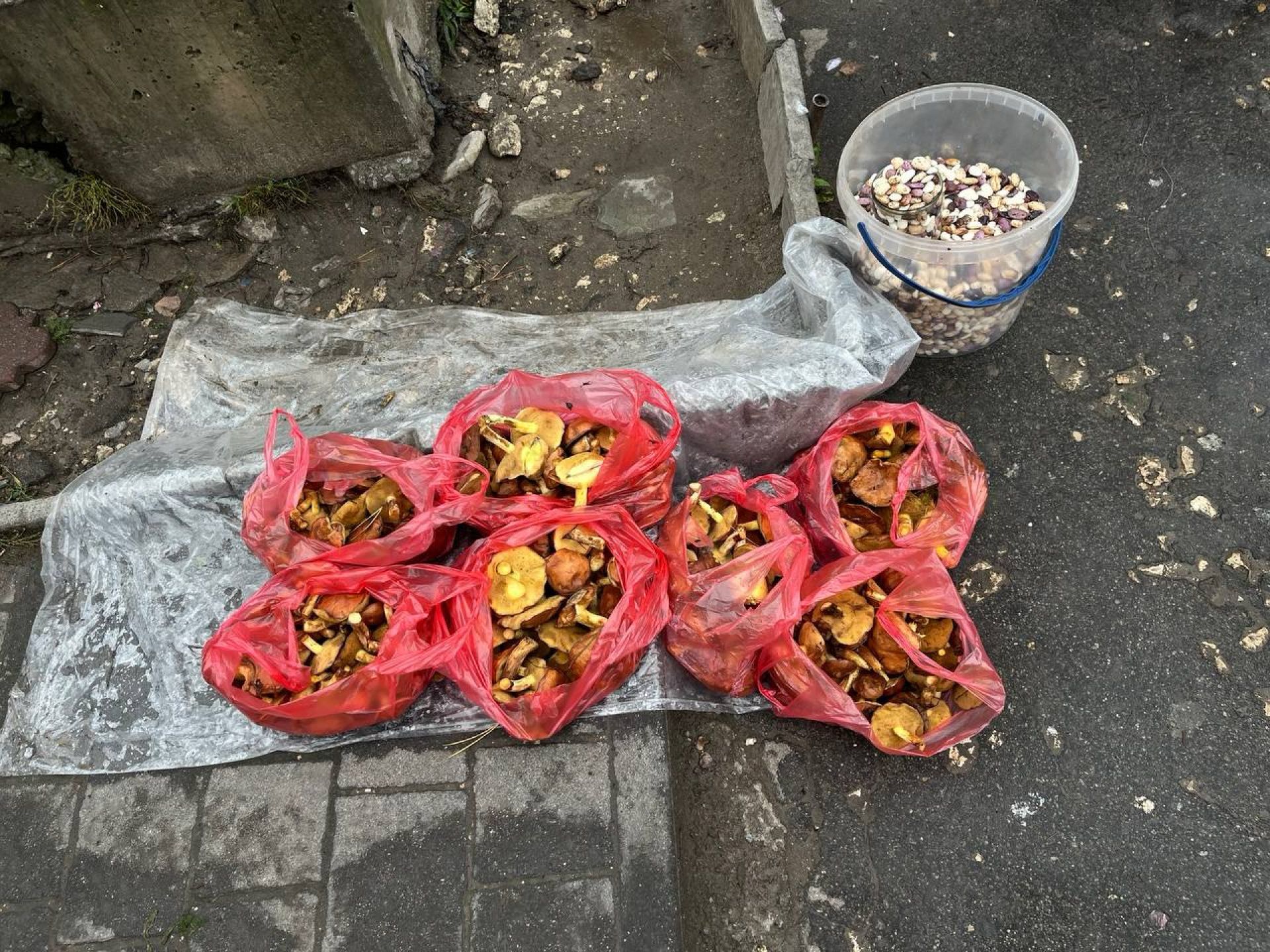 Новини Тернополя - фото з Медики борються за життя семи дітей: у якому стані родина з Копичинців, яка отруїлася грибами