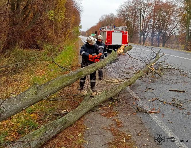 Новини Вінниці - фото з Сильний вітер повалив дерева на Вінниччині. Одне дерево впало на машину