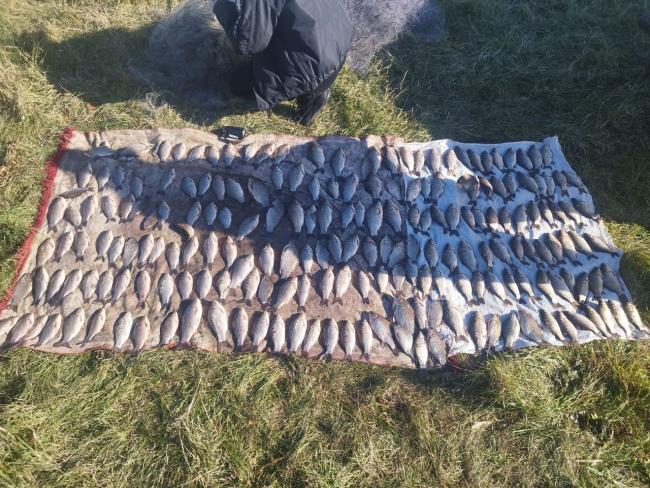 Новини Вінниці - фото з У Гайсинському районі затримали браконьєрів, які сітками виловили понад 200 карасів