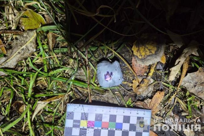 Новини Вінниці - фото з Оперативники у Вінниці затримали наркозакладчицю із 50 згортками канабісу