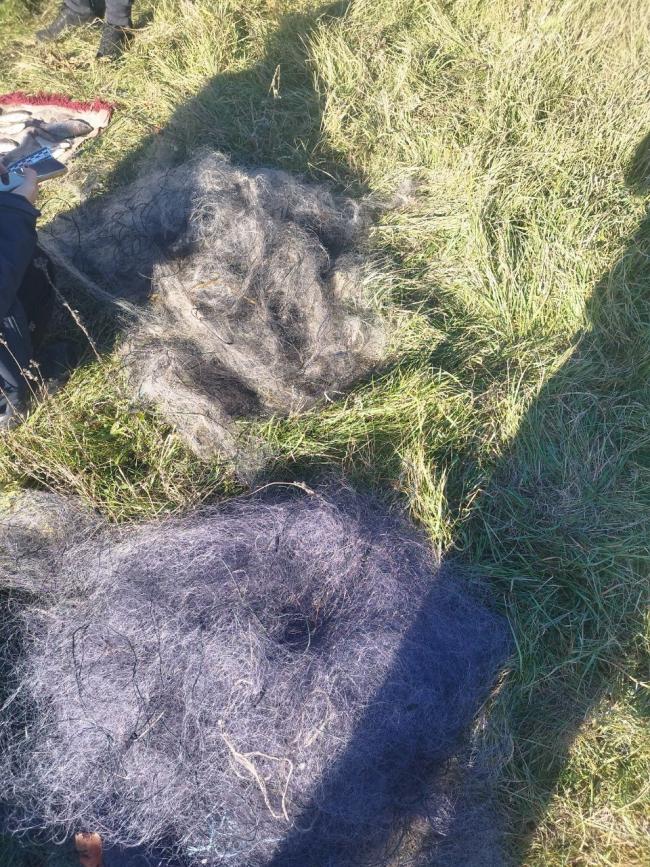 Новини Вінниці - фото з У Гайсинському районі затримали браконьєрів, які сітками виловили понад 200 карасів