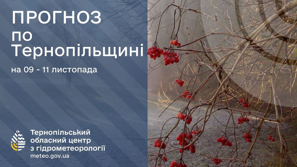 Новини Тернополя - фото з Морозні ночі і туман — якою буде погода на Тернопільщині 9-11 листопада На зображенні може бути: текст