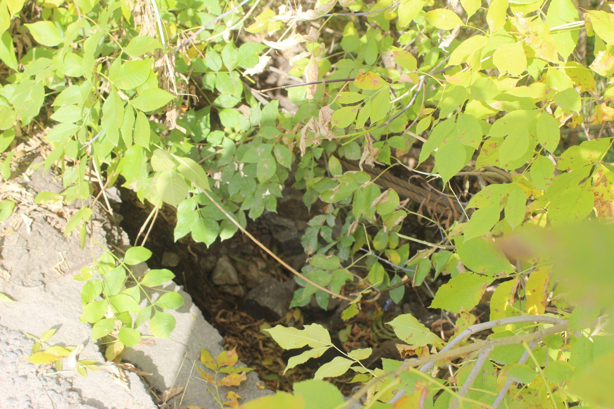 Новини Козятина - фото з До прірви один крок, байдужість і курка-регулювальник