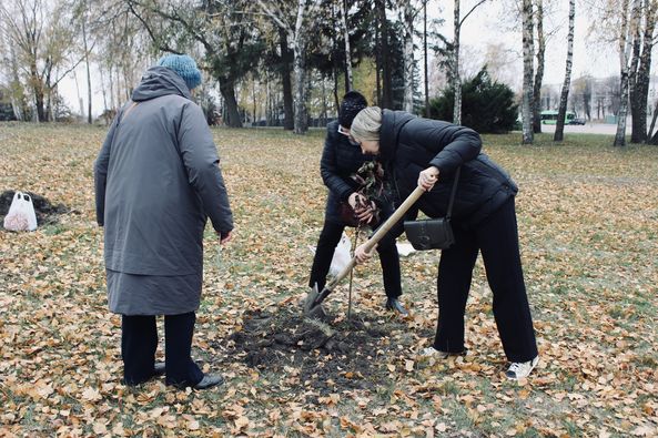 Новини Житомира - фото з У Житомирі висадили дерева в пам'ять про загиблих на фронті житомирян