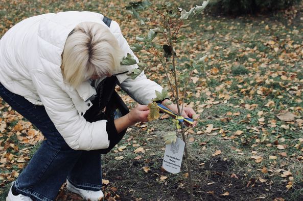 Новини Житомира - фото з У Житомирі висадили дерева в пам'ять про загиблих на фронті житомирян